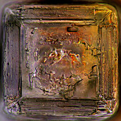 Das Bild zeigt einen Einkristall aus kristallisiertem Salz, fotografiert durch das Mikroskop in polarisiertem Licht bei einer Vergrößerung von 100X