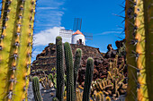 The Jardin de Cactus (Cactus garden) is a wonderful example of architectural intervention integrated into the landscape, designed by Cesar Manrique in Lanzarote, Canary Islands, Spain\n