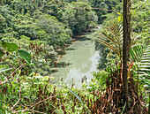 Nature, trails in the tourist destination of Quibdó, Tutunendo in Choco, Colombia\n