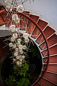 Der Jardin de Cactus (Kaktusgarten) ist ein wunderbares Beispiel für einen in die Landschaft integrierten architektonischen Eingriff, entworfen von Cesar Manrique auf Lanzarote, Kanarische Inseln, Spanien