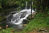 Nature, trails in the tourist destination of Quibdó, Tutunendo in Choco, Colombia\n