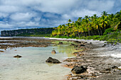 Makatea, Tuamotu Archipelago, French Polynesia.\n
