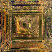Das Bild zeigt einen Einkristall aus rekristallisiertem Salz, fotografiert durch das Mikroskop in polarisiertem Licht bei 100-facher Vergrößerung