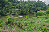 A cloudy day in Choco, Quibdo Pacific Colombia.\n