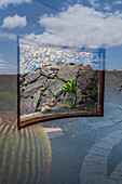 Der Jardin de Cactus (Kaktusgarten) ist ein wunderbares Beispiel für einen in die Landschaft integrierten architektonischen Eingriff, entworfen von Cesar Manrique auf Lanzarote, Kanarische Inseln, Spanien