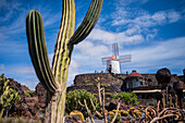 The Jardin de Cactus (Cactus garden) is a wonderful example of architectural intervention integrated into the landscape, designed by Cesar Manrique in Lanzarote, Canary Islands, Spain\n