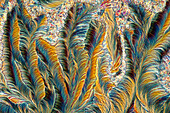 Das Bild zeigt kristallisiertes Paracetamol, fotografiert durch das Mikroskop in polarisiertem Licht bei einer Vergrößerung von 100X