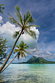 Bora-Bora, Society Islands, French Polynesia.\n