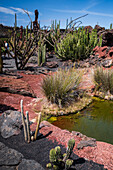 Der Jardin de Cactus (Kaktusgarten) ist ein wunderbares Beispiel für eine in die Landschaft integrierte architektonische Intervention, entworfen von Cesar Manrique auf Lanzarote, Kanarische Inseln, Spanien