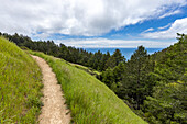 Wanderweg von Stinson Beach über den Hügel