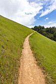 Hiking trail from Stinson beach crossing hill\n