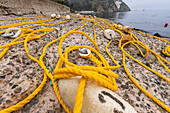 USA, California, Catalina Island, Avalon, Nautical rope and buoys on sea coast\n