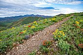 USA, Idaho, Hailey, Hiking trail on Carbonate Mountain\n