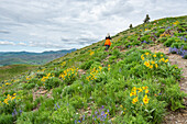 USA, Idaho, Hailey, Senior blonde woman hiking on Carbonate Mountain trail\n