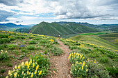 USA, Idaho, Hailey, Senior blonde woman hiking on Carbonate Mountain trail\n