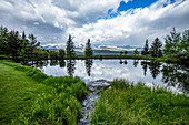 USA, Idaho, Stanley, Kiefern spiegeln sich an einem sonnigen Tag im Teich