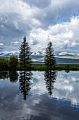 USA, Idaho, Stanley, Kiefern spiegeln sich an einem sonnigen Tag in einem Teich