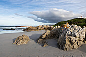 South Africa, Hermanus, Rocky coastline of Atlantic Ocean in Voelklip Beach\n