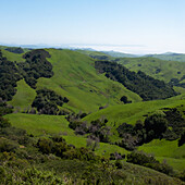 USA, California, San Luis Obispo, Rolling green landscape with clear sky above \n