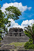 El Castillo, Structure 6, with palm trees in front in the Xunantunich Archeological Reserve in Belize.\n