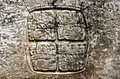 Panel 3 at Structure A9 in the Mayan ruins in the Xunantunich Archeological Reserve in Belize. This panel was originally from a hieroglyphic stairway in Caracol and taken as a trophy of war.\n