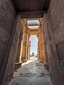 The Temple of Kom Ombo, constructed during the Ptolemaic dynasty, 180 BC to 47 BC, Kom Ombo, Egypt, North Africa, Africa\n