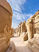 Der Tempelkomplex von Karnak, bestehend aus einer Vielzahl von Tempeln, Pylonen, Kapellen und anderen Gebäuden, UNESCO-Weltkulturerbe, in der Nähe von Luxor, Theben, Ägypten, Nordafrika, Afrika