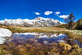 Snowcapped mountains reflected in a pristine lake in springtime, Fedoz valley, Bregaglia, Engadine, Canton of Graubunden, Switzerland, Europe\n