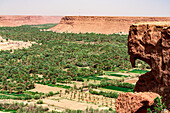 Palm tree groves and ancient village at foot of tall gorges, Ziz Valley, Atlas mountains, Morocco, North Africa, Africa\n