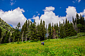 Grand Teton National Park Wanderwege, Wyoming, Vereinigte Staaten von Amerika, Nordamerika