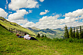 Freunde im Grand-Teton-Nationalpark, Wyoming, Vereinigte Staaten von Amerika, Nordamerika