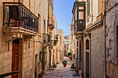 Traditionelle maltesische Kalksteingebäude mit bunten Balkonen in den lebhaften Gassen der Altstadt von Birgu (Citta Vittoriosa), Malta, Mittelmeer, Europa