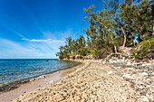 Glass Beach, site of large quantities of sea glass, from shipwrecks and bottles thrown into the sea from the Royal Navy Dockyard over hundreds of years, Bermuda, Atlantic, North America\n