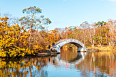 Beautiful Hakamagoshi Bridge on Lake Onuma on a vibrant autumn day, Hokkaido, Japan, Asia\n