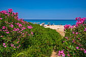 Blick auf die Paralia Skalas, Skala, Kefalonia, Ionische Inseln, Griechische Inseln, Griechenland, Europa