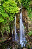 Frankreich, Alpes Maritimes, Parc Naturel Regional des Prealpes d'Azur, Gourdon, Wasserfall Saut du Loup