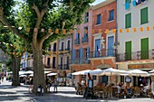 France, Pyrenees Orientales, Collioure, coffee terraces on a square in the shade of plane trees\n