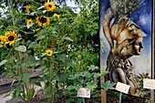 Frankreich, Bas Rhin, Straßburg, Neustadt, von der UNESCO zum Weltkulturerbe erklärt, Rue Goethe, Botanischer Garten der Universität Straßburg