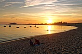 Frankreich, Morbihan, Golf von Morbihan, Regionaler Naturpark des Golfs von Morbihan, Locmariaquer, Kerpenhir Point, der Strand