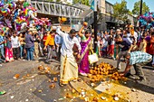 France, Paris, Ganesh Temple of Paris Sri Manicka Vinayakar Alayam, the Feast of the God Ganesh, by breaking the coconut, we offer his heart to Ganesh\n