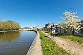 France, Meurthe et Moselle, Nancy, jogger and industrial buildings on the Meurthe canal\n