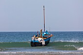 France, Pas de Calais, Audresselles, flobart, traditional fishing craft\n