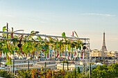 Frankreich, Paris, Gemüsedach von 3.500 m2, der hängende Garten, Bar und ephemeres Restaurant, das im Sommer auf dem Dach eines Parkhauses installiert ist