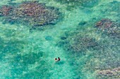 France, Caribbean, Lesser Antilles, Guadeloupe, Grande-Terre, Saint-François, a couple bathes in the lagoon, aerial view\n