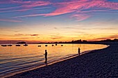 France, Morbihan, Gulf of Morbihan, Regional Natural Park of the Gulf of Morbihan, Locmariaquer, Kerpenhir Point, the beach\n