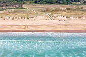 Frankreich, Vendee, Bretignolles sur Mer, der Dünenstrand im Sommer (Luftaufnahme)
