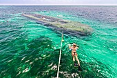 France, the Caribbean, the Lesser Antilles, Guadeloupe, Grand Cul-de-Sac Marin, the heart of the Guadeloupe National Park, snorkeling on a wreck colonized by corals\n