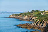 Frankreich, Finistere, Regionaler Naturpark Armorica, Halbinsel Crozon, Umgebung von Telgruc-sur-Mer