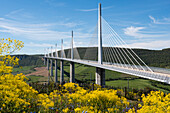 Frankreich, Aveyron, Millau, Millau-Viadukt, Regionaler Naturpark Grands Causses, Schrägseilbrücke über das Tarn-Tal und den Fluss Tarn, von Bauingenieur Michel Virlogeux und dem britischen Architekten Lord Norman Foster, mit 336,4 Metern die höchste Brücke der Welt