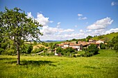 France, Puy de Dome, Egliseneuve pres Billom, Natural regional park of Livradois Forez, Train hamlet\n